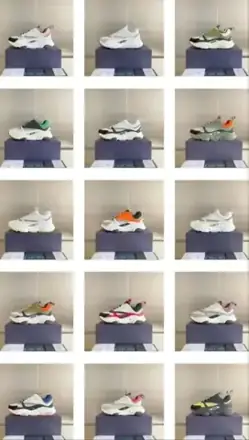 DIOR B22